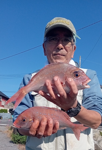 ハナダイの釣果