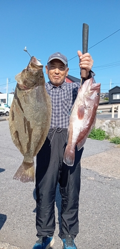 ヒラメの釣果