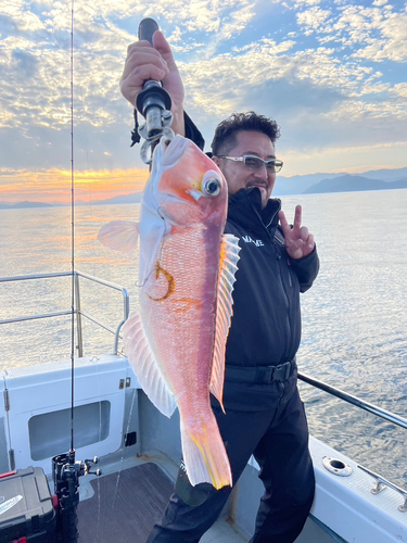 アマダイの釣果