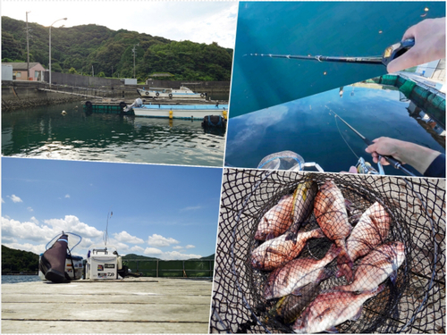 タイの釣果