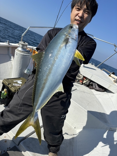 ヒラマサの釣果