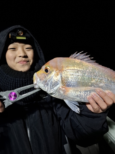 エソの釣果