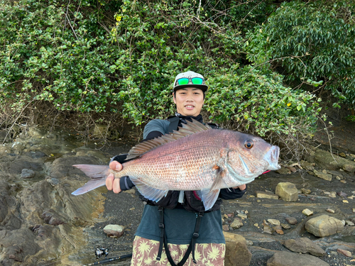 タイの釣果