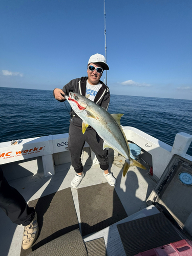 ヒラマサの釣果