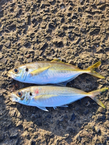 秋田県南部