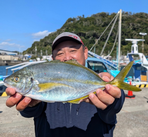 シマアジの釣果