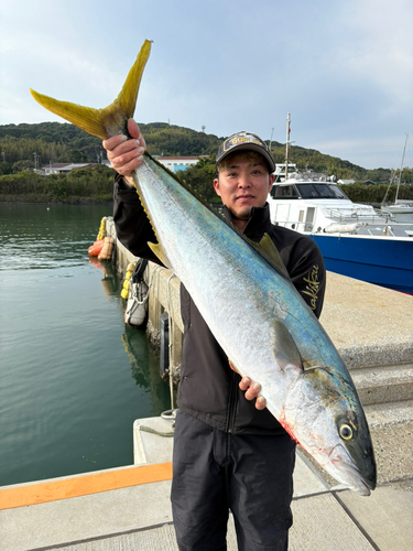 ヒラマサの釣果