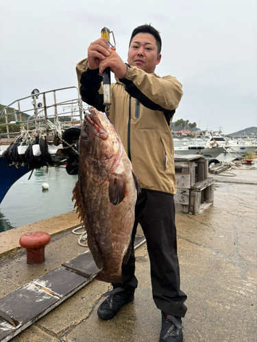 クエの釣果