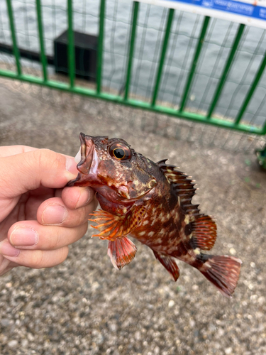 海辺つり公園