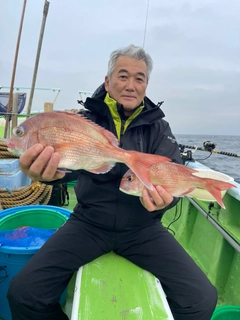 マダイの釣果