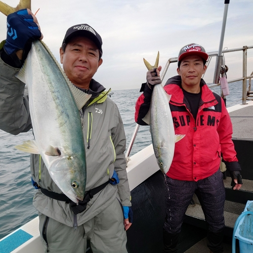 ブリの釣果