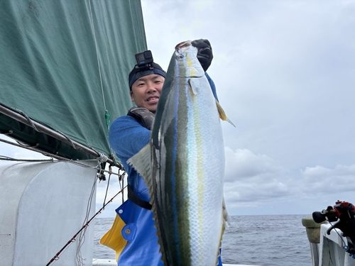 ツムブリの釣果