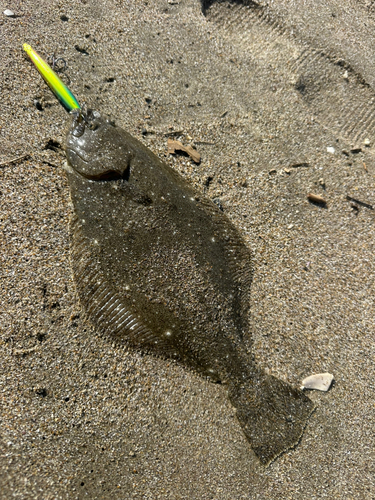 須田浜海岸