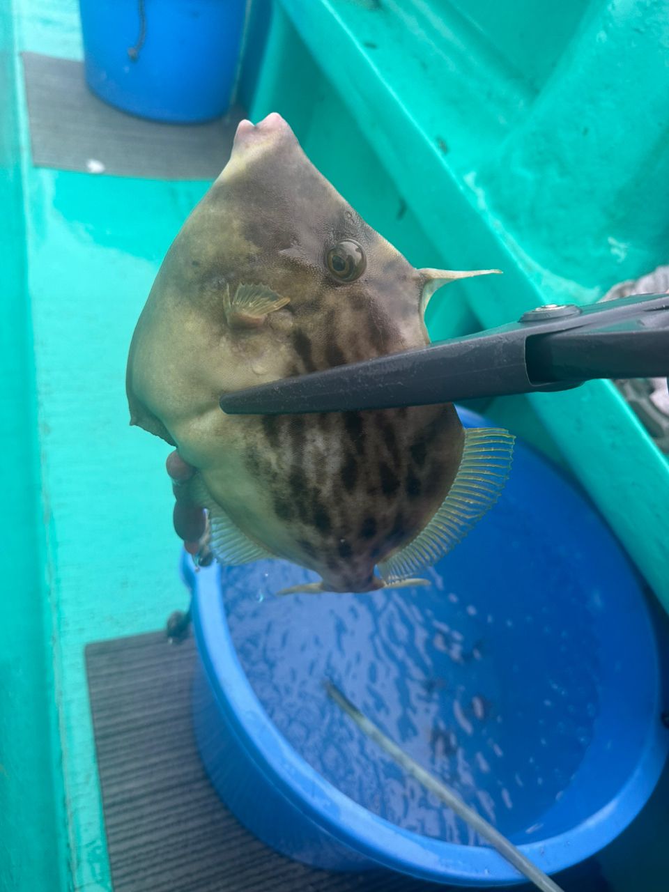 ☆沙乃○☆さんの釣果 3枚目の画像