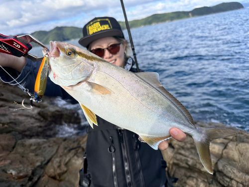 ネリゴの釣果