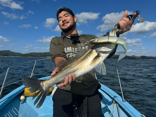 スズキの釣果