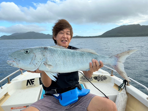 アオチビキの釣果