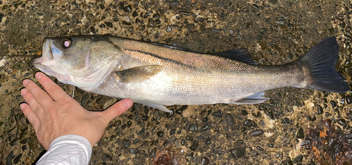 高洲海浜公園