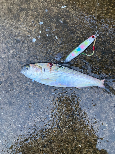 検見川浜突堤