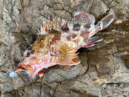 熊野灘