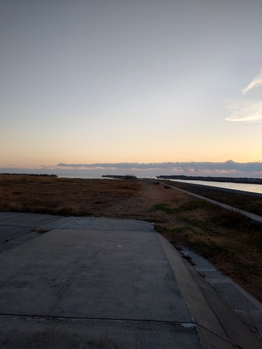 鳥の海