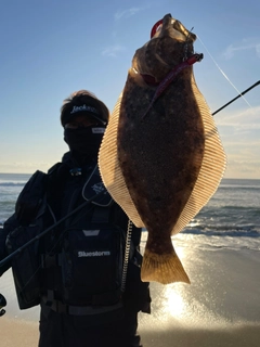 ヒラメの釣果