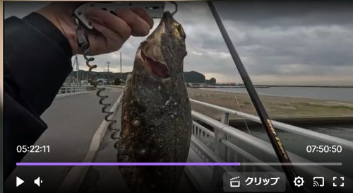 東京湾