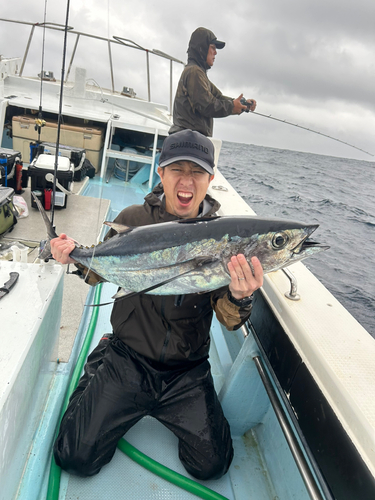 ビンチョウマグロの釣果