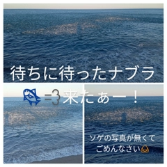 ソゲの釣果