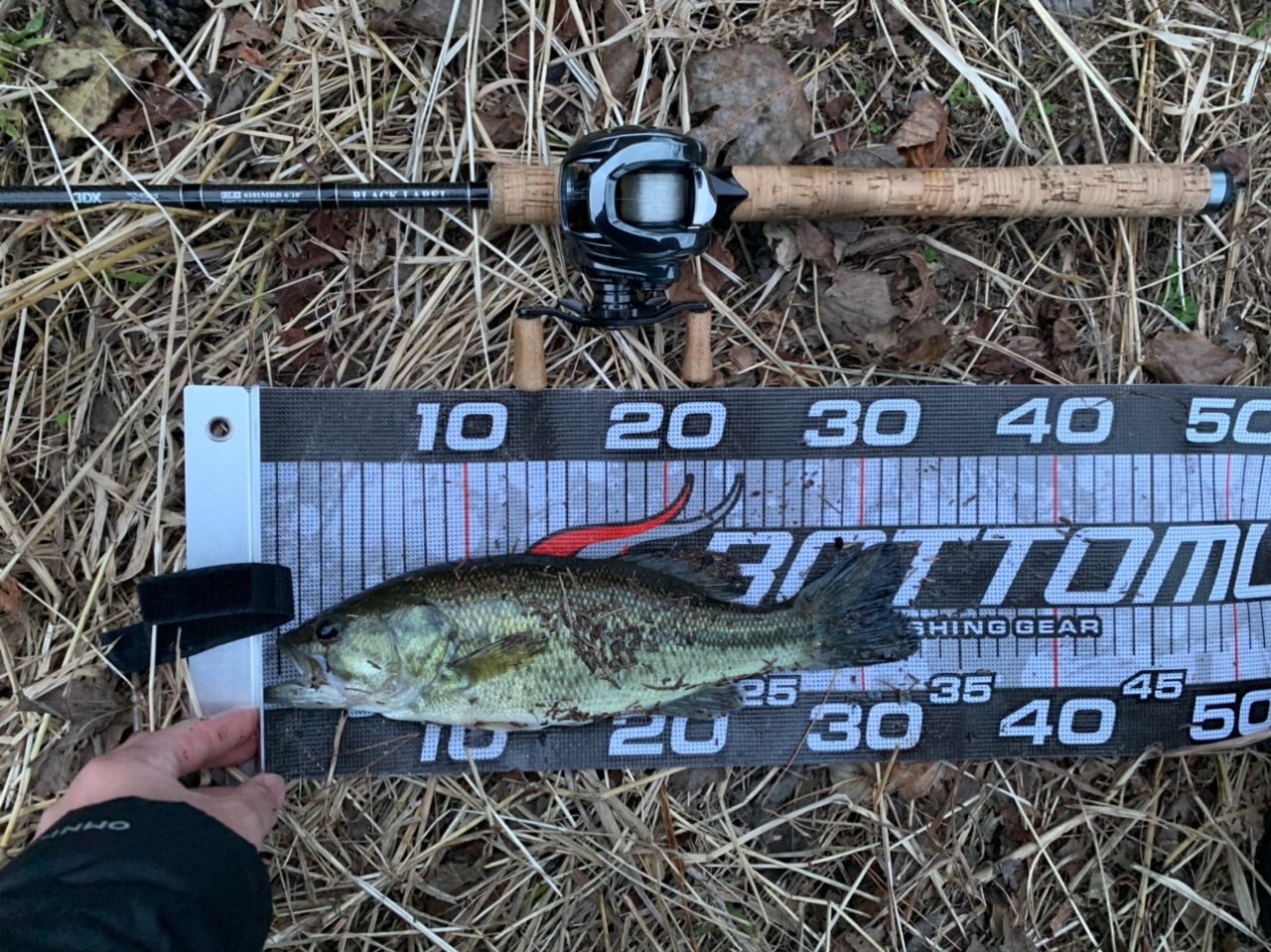 ラージマウスバス