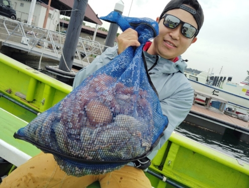 マダコの釣果