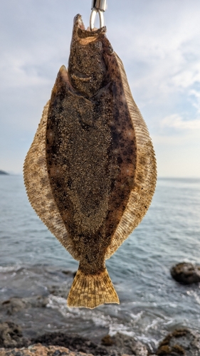 志賀島