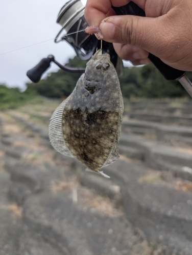 釣果