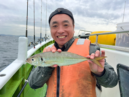 マアジの釣果