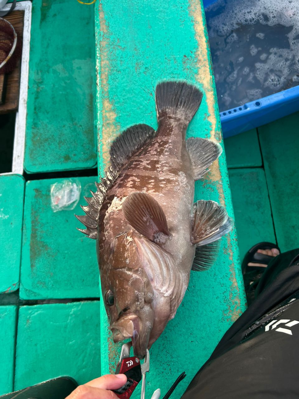 みき0110さんの釣果 2枚目の画像