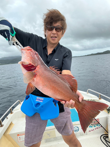 アカジンミーバイの釣果