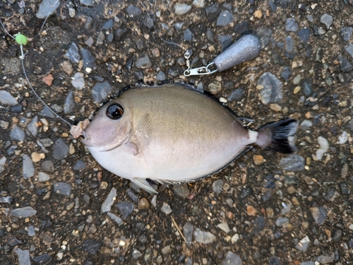 うみかぜ公園付近