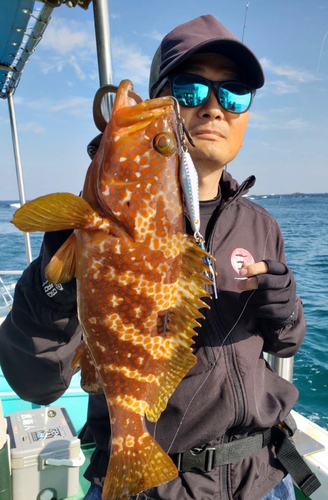 オオモンハタの釣果