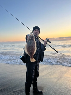 ソゲの釣果