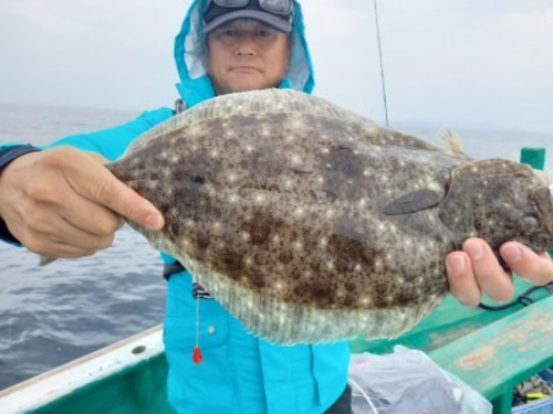 ヒラメの釣果