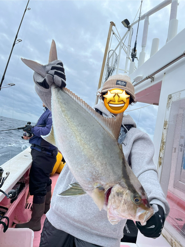 ヒレナガカンパチの釣果