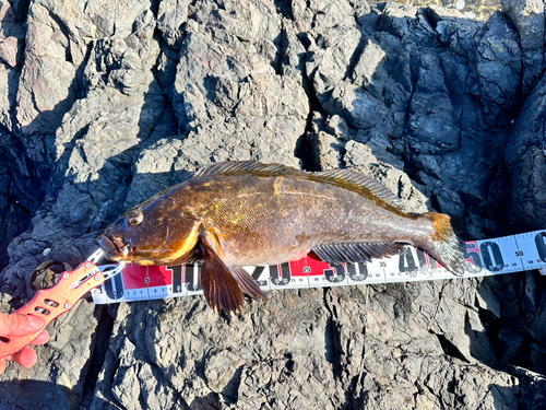 三陸海岸（青森）