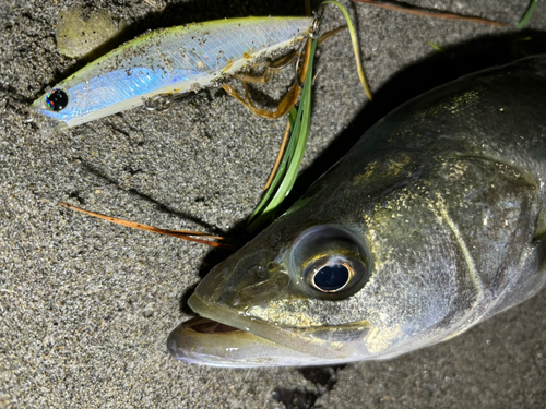 表浜名湖