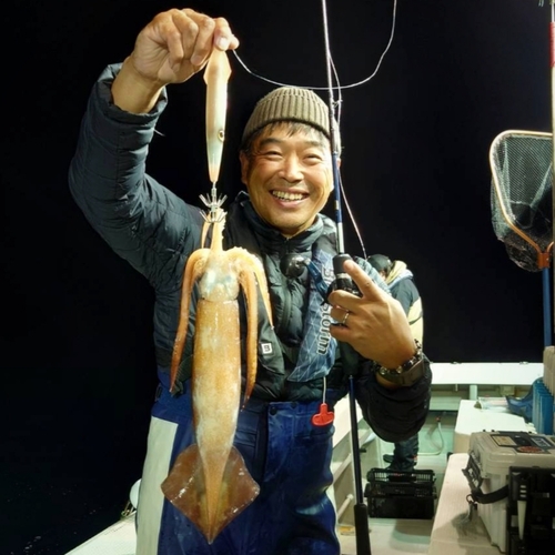 スルメイカの釣果