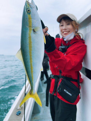 ハマチの釣果