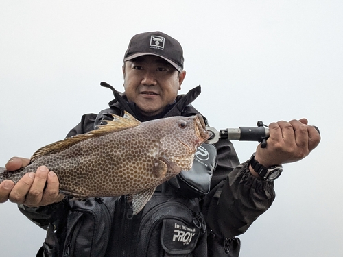 オオモンハタの釣果