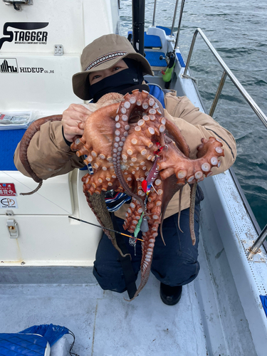 タコの釣果