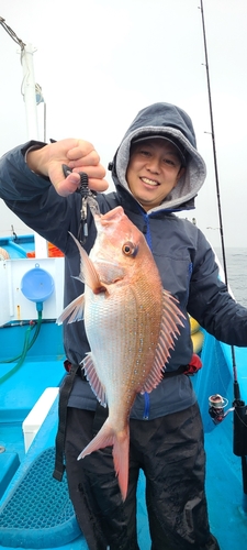 タイの釣果