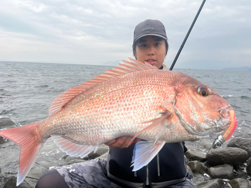 タイの釣果