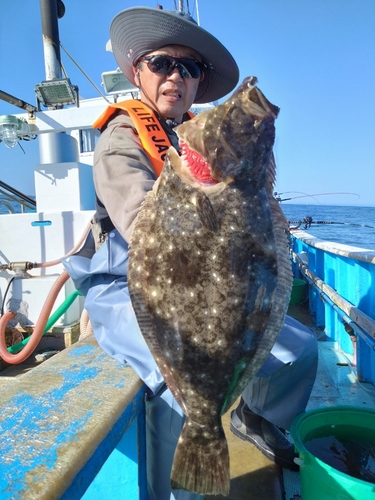 ヒラメの釣果